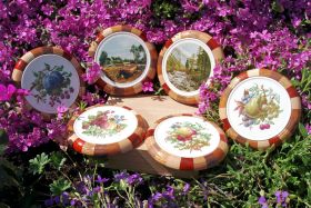 Various Coasters